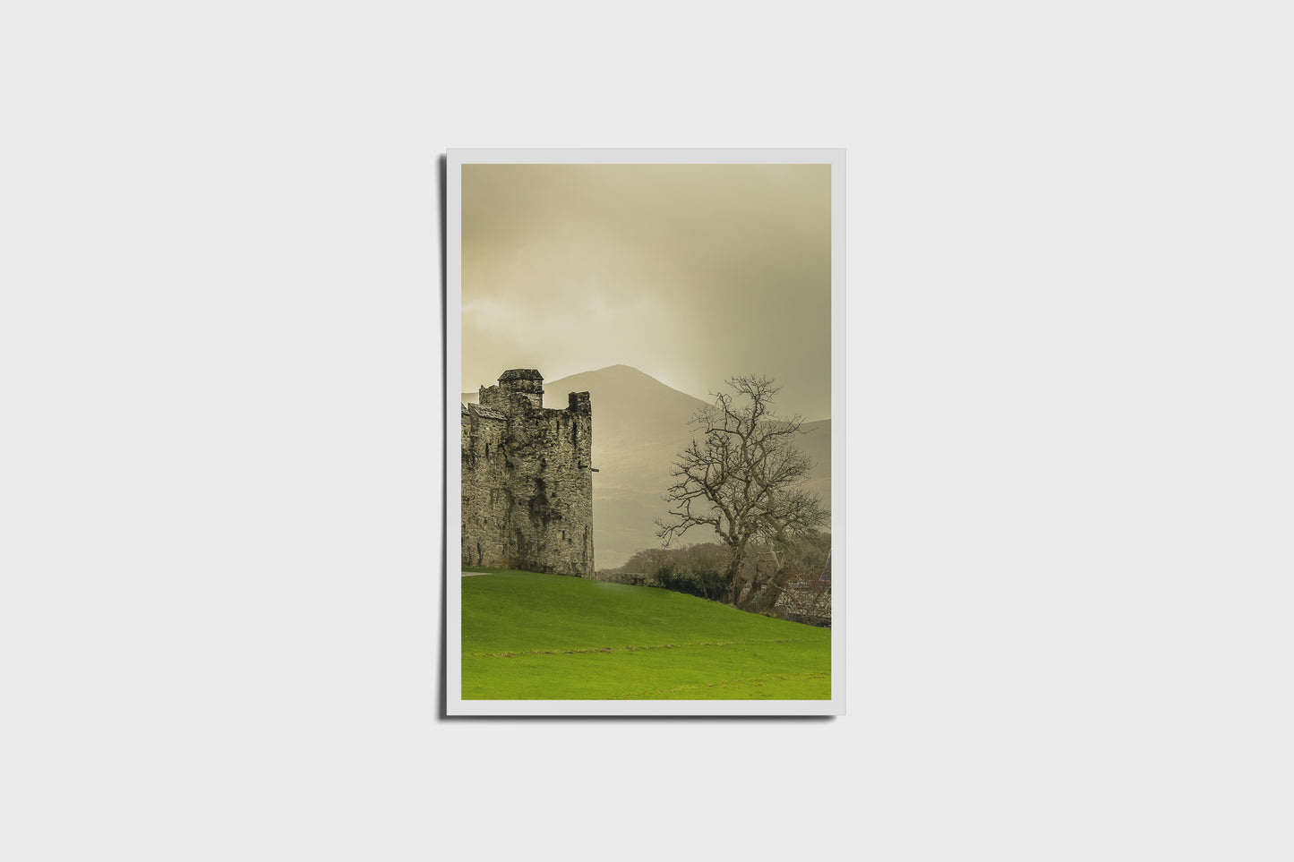 Ross Castle Postcard